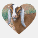 Search for herds stickers Livestock