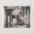 Search for blvd postcards Hollywood