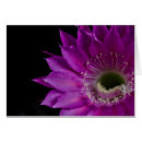 Search for mall cards Floral