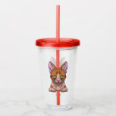 Search for cat tumblers Kitten