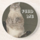 Search for feed barware Cute