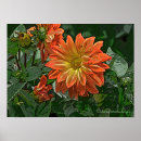 Search for manipulated posters Floral