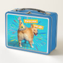 Search for corgi lunch boxes Funny