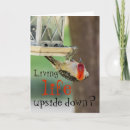 Search for down cards Wildlife