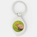 Search for capybara key rings Cute