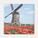 Search for nederlands magnets Blue