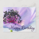 Search for flower drawing cards Lavender