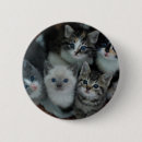 Search for baskets badges Cat
