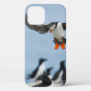 Search for puffin iphone cases Atlantic