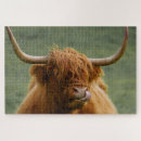 Search for highland cow puzzles Scottish