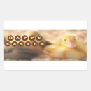 Search for big duck stickers Duckling