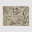 Search for fantasy creatures Vintage