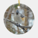 Search for tufts christmas tree decorations Animal