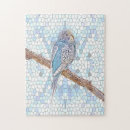 Search for budgie puzzles Parakeet