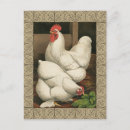 Search for décorative postcards Farm