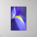 Search for iris canvas prints Abstract