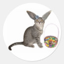 Search for easter kitten stickers Basket