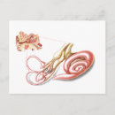 Search for human ear postcards Colour image