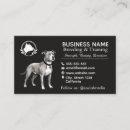 Search for pit business cards Pet sitter