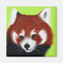 Search for panda magnets Red