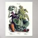 Search for fruit vegetable posters Vintage