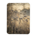 Search for flemish magnets Landscape