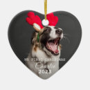 Search for cat picture christmas tree decorations Dogs