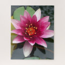 Search for lotus flower puzzles Plant