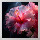 Search for hibiscus posters Elegant