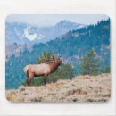 Search for bugle mousepads Elk