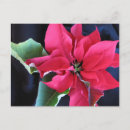 Search for multi region postcards Photography
