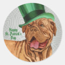 Search for dogue de bordeaux stickers French mastiff