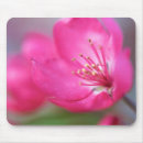 Search for apple mousepads Flower