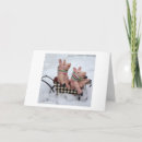 Search for slide cards Sled
