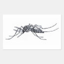 Search for mosquitoes stickers Insects