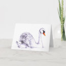 Search for wild birds cards Illustration