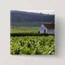 Search for vineyard badges Fertile