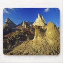 Search for dinosaur mousepads Nature