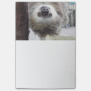 Search for sloth post it notes Cute