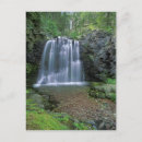 Search for chucks postcards Glacier national park