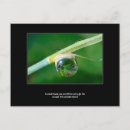 Search for droplets postcards Green