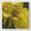 Search for iris clocks Botanical