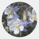 Search for columbine flower stickers Wildflowers