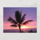 Search for colourful sunset postcards Photography