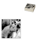 Search for nature rubber stamps Photography