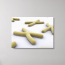 Search for genes art Medicine