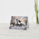 Search for gypsy vanner horse cards Stallion