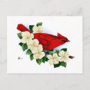 Search for common stamps postcards Garden