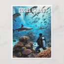 Search for cocos postcards Souvenir