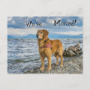 Search for beach change of address postcards We're moving